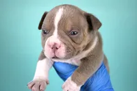 processed/4dd443c8-e511-45dd-9f85-13bfe7f8f8be/listing/584f0192-56b0-4c46-802c-52f816b8ac14/6508298b-9beb-483a-9fd2-6cd5740e893a