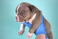 processed/4dd443c8-e511-45dd-9f85-13bfe7f8f8be/listing/584f0192-56b0-4c46-802c-52f816b8ac14/d329086d-a7dc-4ea1-aa99-add1a1a93c7a