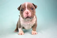 processed/4dd443c8-e511-45dd-9f85-13bfe7f8f8be/listing/584f0192-56b0-4c46-802c-52f816b8ac14/d47ef047-cb7a-4a84-a5c9-428380adb690