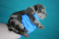 processed/4dd443c8-e511-45dd-9f85-13bfe7f8f8be/listing/5fa3aa42-ebfd-4e4e-a259-86b320d0dde6/471c1717-e270-42a7-9eb6-2f6de0d6a420