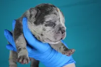 processed/4dd443c8-e511-45dd-9f85-13bfe7f8f8be/listing/5fa3aa42-ebfd-4e4e-a259-86b320d0dde6/8c7e9810-52e0-4e57-831f-48f5d7dfd888