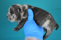 processed/4dd443c8-e511-45dd-9f85-13bfe7f8f8be/listing/5fa3aa42-ebfd-4e4e-a259-86b320d0dde6/c8bf31e8-c5e8-429b-9ce1-8e94a79c32cd