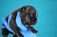 processed/4dd443c8-e511-45dd-9f85-13bfe7f8f8be/listing/687c3f59-3cc5-4c12-b9cf-64112d987903/56e48a46-8adb-4609-9c44-cc2eb7f7dd75