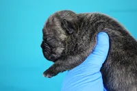 processed/4dd443c8-e511-45dd-9f85-13bfe7f8f8be/listing/687c3f59-3cc5-4c12-b9cf-64112d987903/7a1b8987-b565-492e-8b34-05c6b11dc222