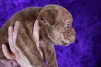 processed/4dd443c8-e511-45dd-9f85-13bfe7f8f8be/listing/7f18b03b-3701-4338-9166-2ff88321b568/081a1ee3-8b3c-4555-88fe-2d27d816b18b