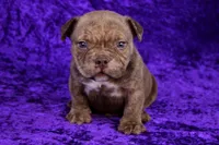 processed/4dd443c8-e511-45dd-9f85-13bfe7f8f8be/listing/7f18b03b-3701-4338-9166-2ff88321b568/6c6bc491-8f24-4d58-a3a4-e2c6342a7910