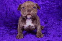 processed/4dd443c8-e511-45dd-9f85-13bfe7f8f8be/listing/7f18b03b-3701-4338-9166-2ff88321b568/a3d64afd-89e0-4e26-ba59-31c91473c4b8