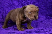 processed/4dd443c8-e511-45dd-9f85-13bfe7f8f8be/listing/7f18b03b-3701-4338-9166-2ff88321b568/b64a5c41-5113-462e-b5f9-d3f0081c49b2