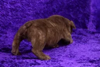 processed/4dd443c8-e511-45dd-9f85-13bfe7f8f8be/listing/7f18b03b-3701-4338-9166-2ff88321b568/d211d482-1b7c-4527-98be-d89ce12df4c4