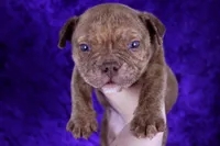 processed/4dd443c8-e511-45dd-9f85-13bfe7f8f8be/listing/7f18b03b-3701-4338-9166-2ff88321b568/e773f884-8abc-469c-8614-801bd7af86a6