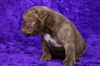 processed/4dd443c8-e511-45dd-9f85-13bfe7f8f8be/listing/7f18b03b-3701-4338-9166-2ff88321b568/f7567957-6e05-4cd9-b7ee-fb91339b9959