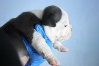 processed/4dd443c8-e511-45dd-9f85-13bfe7f8f8be/listing/8445bc9a-7175-44fc-b086-ab71096f1c86/5629f2f0-1f80-4dcc-8d9f-ab4e20498f09