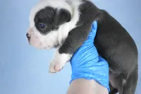 processed/4dd443c8-e511-45dd-9f85-13bfe7f8f8be/listing/8445bc9a-7175-44fc-b086-ab71096f1c86/76dff5a2-daa3-4a42-99c3-f92e3858eed3