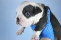 processed/4dd443c8-e511-45dd-9f85-13bfe7f8f8be/listing/8445bc9a-7175-44fc-b086-ab71096f1c86/f1d7fdfb-b471-4b73-99f7-e0e7cf23c9d5