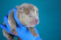 processed/4dd443c8-e511-45dd-9f85-13bfe7f8f8be/listing/9829f577-9a1d-4095-b70b-f5885b0a6079/bb0dfd63-6695-4197-b14d-5e0e966340da