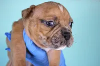 processed/4dd443c8-e511-45dd-9f85-13bfe7f8f8be/listing/b42bd6c6-63d5-49da-b1fe-be9d048039b2/583d08fd-f3a9-485b-8fb5-b838bed3f10f