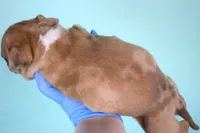 processed/4dd443c8-e511-45dd-9f85-13bfe7f8f8be/listing/b42bd6c6-63d5-49da-b1fe-be9d048039b2/b3f6c6a7-07c3-445e-9863-18137bb285b9