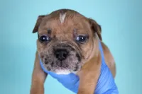 processed/4dd443c8-e511-45dd-9f85-13bfe7f8f8be/listing/b42bd6c6-63d5-49da-b1fe-be9d048039b2/cda63218-8a99-447a-bb95-a0c4f127731a