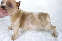 processed/4dd443c8-e511-45dd-9f85-13bfe7f8f8be/listing/be0a57a8-ef0d-472a-a369-287c661e6b51/6c0da148-be54-4ddf-8a93-e4fec6c1850c