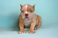 processed/4dd443c8-e511-45dd-9f85-13bfe7f8f8be/listing/be0a57a8-ef0d-472a-a369-287c661e6b51/d397a134-fdd1-4322-9815-93c5f90765e9