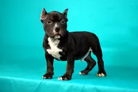 processed/4dd443c8-e511-45dd-9f85-13bfe7f8f8be/listing/e1c4f19f-3c84-4cd7-97c0-c1f45ef997b0/337b6254-d4df-4f89-a0f0-52e2018628f1