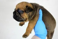 processed/4dd443c8-e511-45dd-9f85-13bfe7f8f8be/listing/e67cb4df-7dad-4e10-9438-361648d4723b/478ef5ab-de4b-49d1-a9d9-c34f87b6cbb5