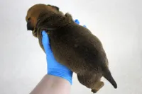 processed/4dd443c8-e511-45dd-9f85-13bfe7f8f8be/listing/e67cb4df-7dad-4e10-9438-361648d4723b/b86abf4a-0127-4f24-96fd-af057cb6c6a7