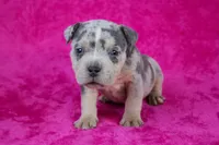 processed/4dd443c8-e511-45dd-9f85-13bfe7f8f8be/listing/ee64184e-0004-4ebb-a67a-c4ac42bab377/ae4d401f-c2d9-4d8f-a44f-d4e4a178b3c6