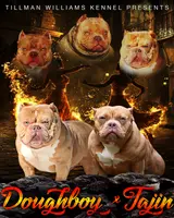 processed/4dd443c8-e511-45dd-9f85-13bfe7f8f8be/listing/ffc0010c-1d32-4e97-9cee-234831544dde/4dc9f3c7-f36e-49f5-8323-4a83ad420c65