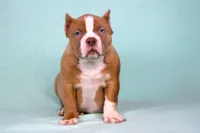 processed/4dd443c8-e511-45dd-9f85-13bfe7f8f8be/listing/ffc0010c-1d32-4e97-9cee-234831544dde/66608624-3830-4352-b76c-988388e7e60b