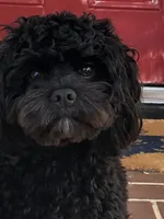 processed/4dd6367d-9f78-4b53-9037-10deb2203a6d/facility/8ec85c48-be2f-49a7-8a18-8a64b21c12e4