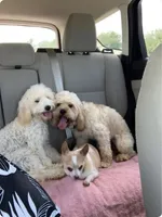 processed/4dd6367d-9f78-4b53-9037-10deb2203a6d/facility/b72ff9b3-d99b-4a28-a041-edff664716e8