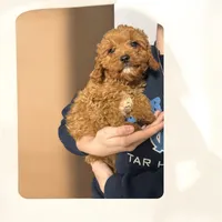 processed/4dd6367d-9f78-4b53-9037-10deb2203a6d/listing/139414a3-b43f-4f73-9707-57e0170e604c/ceffcb27-5c57-4cd1-81de-333f6eaf08b1