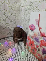 processed/4ddc7c0d-df46-49dc-b0a6-12e3ded278be/listing/37e066aa-cac7-40cc-b6e5-33dc692fc6ce/29ece30b-14ed-46cb-8bd1-a0d0e7c8a4be