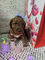 processed/4ddc7c0d-df46-49dc-b0a6-12e3ded278be/listing/37e066aa-cac7-40cc-b6e5-33dc692fc6ce/a3b40582-8001-4933-8838-b3b63cad35ee