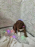 processed/4ddc7c0d-df46-49dc-b0a6-12e3ded278be/listing/37e066aa-cac7-40cc-b6e5-33dc692fc6ce/d98e386a-ac1e-447d-90e1-b18a7a64b315