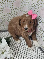 processed/4ddc7c0d-df46-49dc-b0a6-12e3ded278be/listing/69d87df3-9378-40ec-9f6a-98e4501a6dd6/fd47a1b6-fb8e-4dd2-9711-89a5e8285110