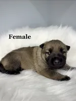 processed/4ddd96c0-811b-4d02-ab25-27a23fdf9e8c/listing/01280f69-e0a3-452c-b324-cfcde775e72d/08fd3804-30fd-4ba1-a6d4-a79219b5d149