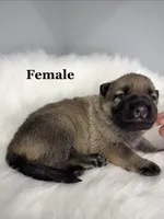 processed/4ddd96c0-811b-4d02-ab25-27a23fdf9e8c/listing/01280f69-e0a3-452c-b324-cfcde775e72d/a8553ecd-6cc7-4ac1-b989-6db8e96ab405