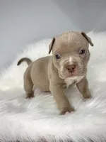 processed/4ddd96c0-811b-4d02-ab25-27a23fdf9e8c/listing/0d2de73e-8900-464a-a5f4-62bb234cfcb9/64396073-80ad-457b-ab6e-54143837e156