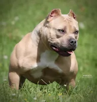 processed/4ddd96c0-811b-4d02-ab25-27a23fdf9e8c/listing/0d2de73e-8900-464a-a5f4-62bb234cfcb9/86a1d8a6-d5ac-45d5-a86c-06898f64a9fd