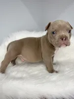 processed/4ddd96c0-811b-4d02-ab25-27a23fdf9e8c/listing/0d2de73e-8900-464a-a5f4-62bb234cfcb9/c92265d4-81e9-4865-802d-559fb5a9a6c7