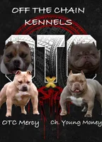 processed/4ddd96c0-811b-4d02-ab25-27a23fdf9e8c/listing/0d2de73e-8900-464a-a5f4-62bb234cfcb9/ee787715-ae94-4496-84ee-e350c8bb66e1