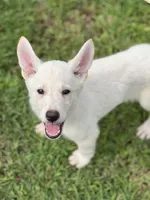 processed/4dea6e33-e941-4a54-8a64-7e419c625a4d/listing/92fd1286-bc1b-43cb-a0b7-98776201f97a/56c9e05d-a88d-48ad-9086-988a6cb4a235