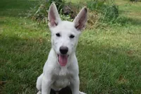 processed/4dea6e33-e941-4a54-8a64-7e419c625a4d/listing/92fd1286-bc1b-43cb-a0b7-98776201f97a/6c36dcc0-328f-4868-a07e-b984a4319170