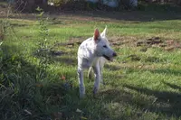 processed/4dea6e33-e941-4a54-8a64-7e419c625a4d/listing/92fd1286-bc1b-43cb-a0b7-98776201f97a/f80e250b-ff83-4f8b-a694-89734a9477d9