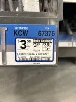 Woody , a male Goldendoodle for sale in Winchester, VA – Photo 2 of 2