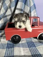 processed/4df8049c-4f53-4de8-be64-9a405263fab4/facility/104ad79c-3fff-4b2d-8ef4-dc3ce7b02bee