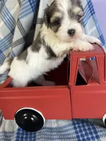 processed/4df8049c-4f53-4de8-be64-9a405263fab4/facility/13bd560c-fdf2-4a8d-bb63-7e96a5daa3d3