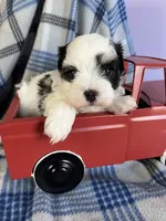 processed/4df8049c-4f53-4de8-be64-9a405263fab4/facility/3622b36a-b066-4318-80e7-521365a1998e